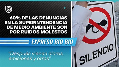 60 De Las Denuncias En La Superintendencia De Medio Ambiente Son Por