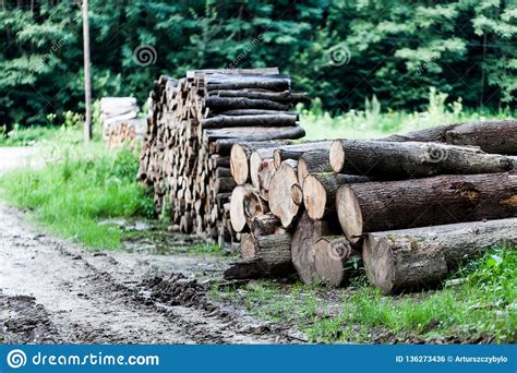 Stack Of Raw Wooden Lumber On The Grass By The Forest Industry Concept