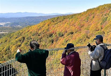 長野県 茅野市の横谷渓谷 赤や黄色に 見頃の紅葉を展望台から｜北陸新幹線で行こう！北陸・信越観光ナビ