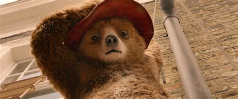 Paddington Is Going To Peru For His Third Film Vanity Fair