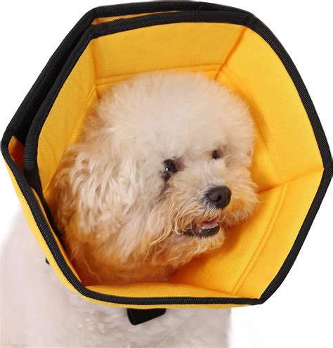 Gladog Soft Dog Cone For Dogs After Surgery Flexible Dog