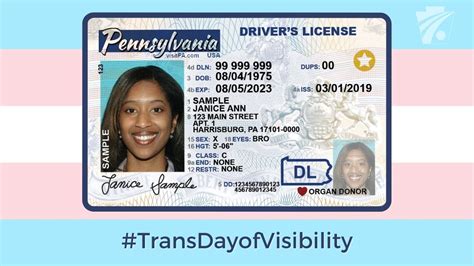 Pennsylvania Fake Id Templates Buy Fake Id Best Scannable Fake Id