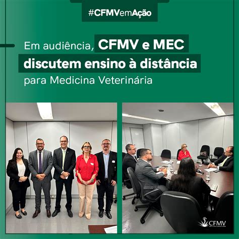 Em audiência CFMV e MEC discutem ensino à distância para Medicina