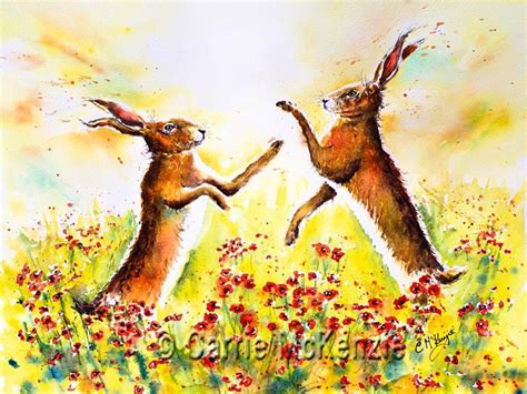 Boxing Hares - Carrie McKenzie Watercolor Animals, Watercolor Paintings, Watercolours, Halifax ...