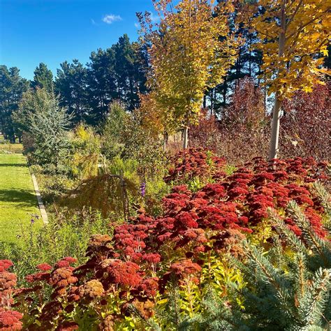 The Shrubbery Destination Southern Highlands