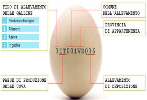 LE UOVA GENARALITA CLASSIFICAZIONE ED ETICHETTATURA SmilEat