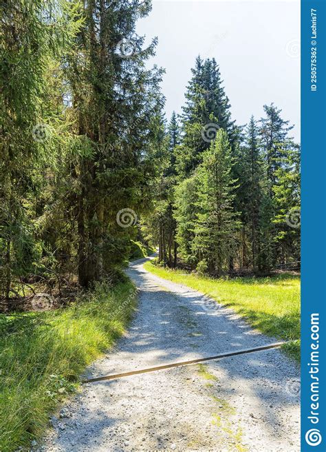 Wonderful Mountain Trekking Route In South Tyrol Beautiful Natural