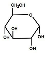 Biochemistry Ch Carbohydrates Flashcards Quizlet