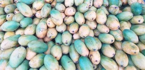 Yellow Fresh Totapuri Mango Carton Packaging Size 20 Kg At Rs 20 Kg