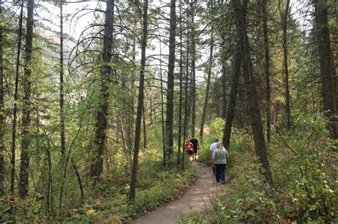 Kootenai Falls - A Suspension Bridge and Plate Tectonics