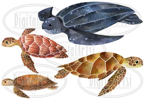 Sea Turtles Graphics Set Digitalartsi