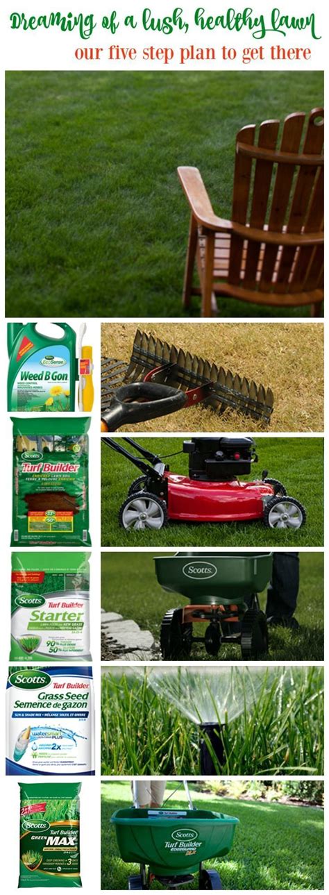 Our Five Step Plan For How To Develop A Healthy Lawn Lush Lawn Lawn