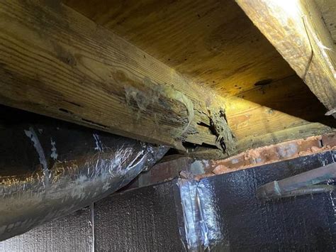 Southeast Foundation And Crawl Space Repair Before After Photo Set