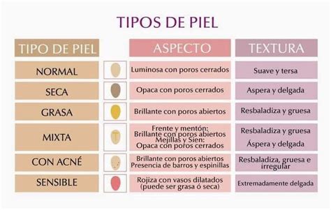 Pin De Hemiki Mar En Tipos De Piel Consejos Para La Piel Estetica