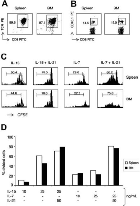 Proliferative Response Of Spleen And Bm Antigen Specific Memory Cd