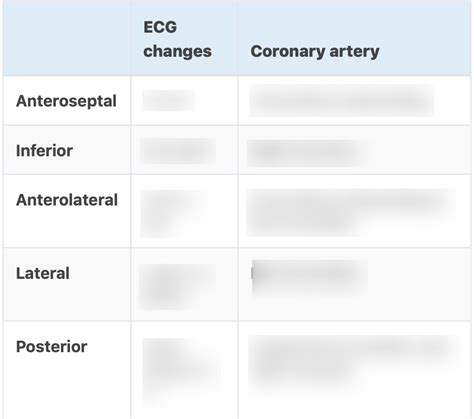 Ecg Coronary Territories Diagram Quizlet