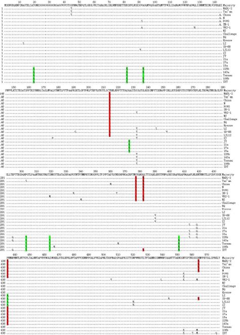 Sequence Alignment Of The Deduced Amino Acid Sequences Of The VP2 Gene