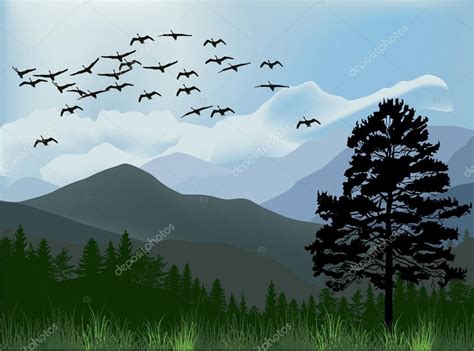 Birds Above Mountains Stock Vector Image By ©drpas 55587159