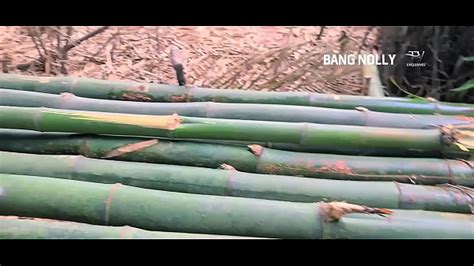 Bangass Queen Model Page XVIDEOS