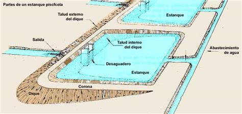 Qu Es Un Estanque De Agua Y Cu Ntos Tipos Hay Iagua
