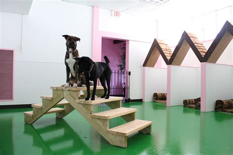 Pin By Woof Gang Bakery On Wgb Florida Dog Daycare Dog Playground