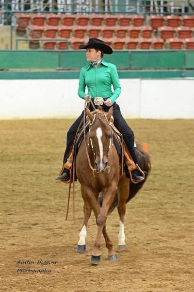 About Our Team Campbell University Equestrian Team