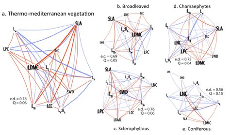 Traits Correlation Networks Graphically Represent In A Two Dimensional