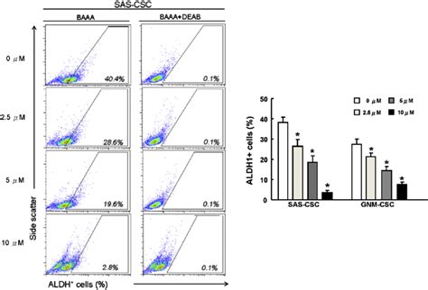 Luteolin Dose Dependently Represses Aldehyde Dehydrogenase Aldh 1