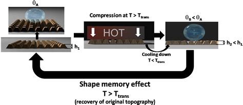 Polymeric Shape Memory Micro Patterned Surface For Switching Wettability With Temperature