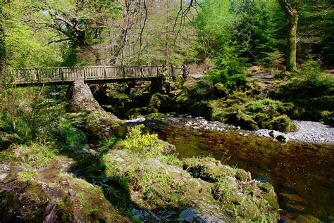 Tollymore Forest Park Wooden Bridge On Stone Supports Photograph By