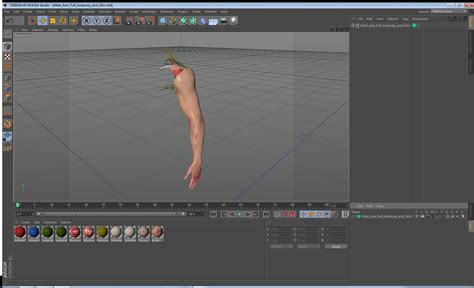 男性の腕の完全な解剖学と皮膚 3dモデル 149 3ds Blend C4d Fbx Ma Obj Max Free3d