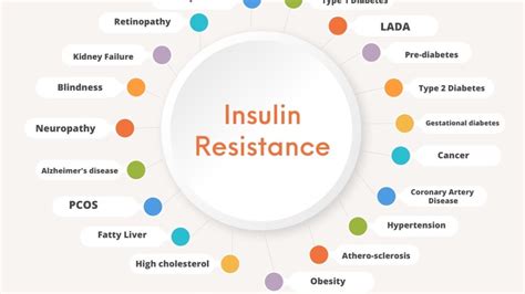 Insulin Resistance Guide