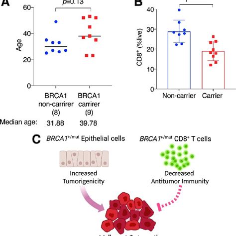 Human Brca1 Mutation Carriers Are Associated With Lower Abundance Of