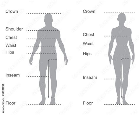 size chart, measurement diagram, body measurements for clothing Stock ...