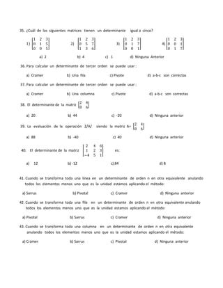 Unidad 6 Seleccion Sobre Determinantes PDF