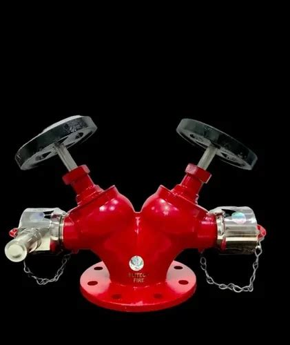 Material Stainless Steel Valve Size Inch Ss Double Hydrant Valve