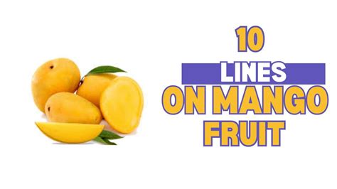 10 Lines On Mango Fruitmy Favourite Fruit Shot Lines On King Of All