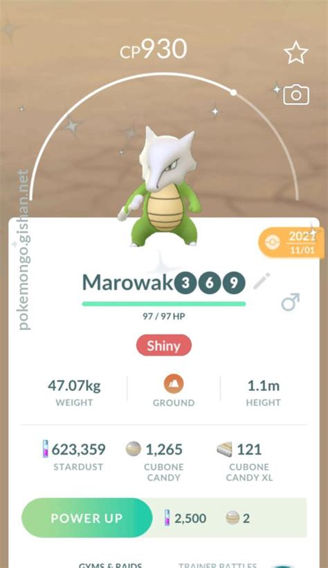 Shiny Marowak - Pokemon Go