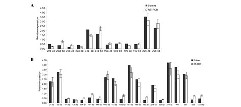 Genome Wide Identification And Expression Analysis Of MicroRNA Involved