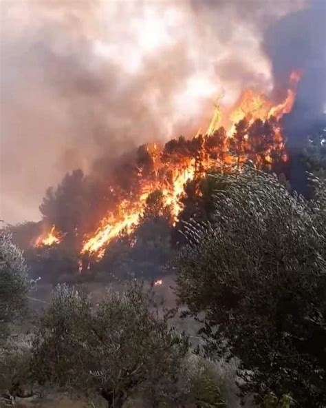 Le Foto Dell Incendio Nella Riserva Naturale Di Randello A Santa Croce