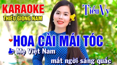 Karaoke Hoa C I M I T C Song Ca C Ng Ti U Vy Karaoke Thi U Gi Ng Nam