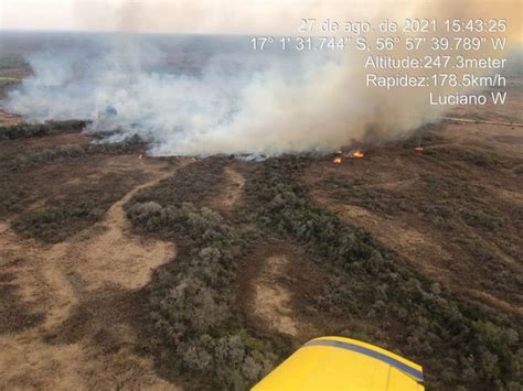 Estudo aponta que incêndios mataram 17 milhões de animais no Pantanal