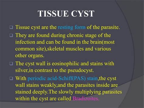 Toxoplasmosis Ppt Hemapriya Ii Pg Pptx