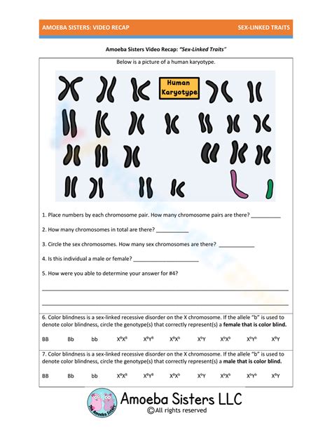 Free Printable Sex Linked Traits Worksheets For Students Worksheets