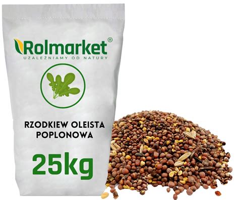 NASIONA Rzodkiew oleista MIESZANKA poplonowa ZBOŻOWA na poplon 25KG