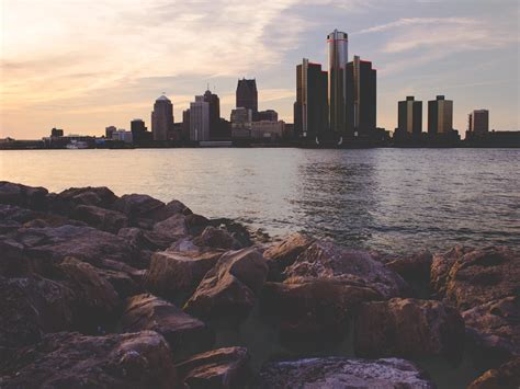 Pet-Friendly Detroit Hotels | Hotel Indigo Detroit Downtown