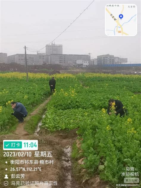 祁东县人民政府门户网站 祁东县农业农村局护航春耕生产