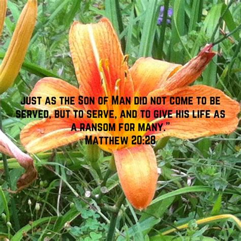 Matthew Just As The Son Of Man Did Not Come To Be Served But To