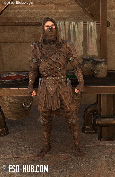 Elder Scrolls Online Assassin