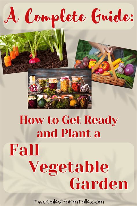 A Complete Guide How To Get Ready And Plant A Fall Vegetable Garden